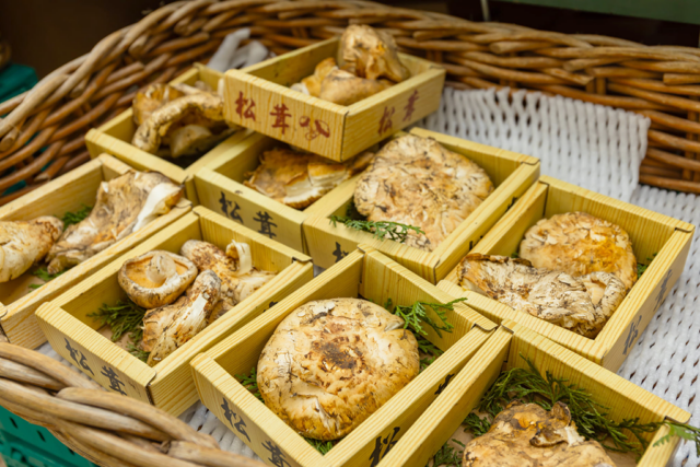 多様なお客様に対応細やかな対応力が強みです